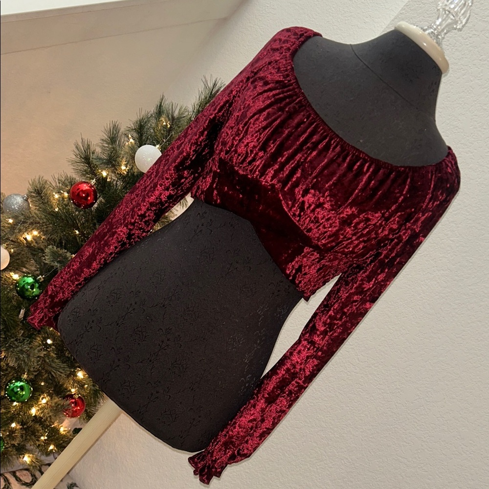 Altar'd State Burgandy Long Sleeve Crop Top Blouse